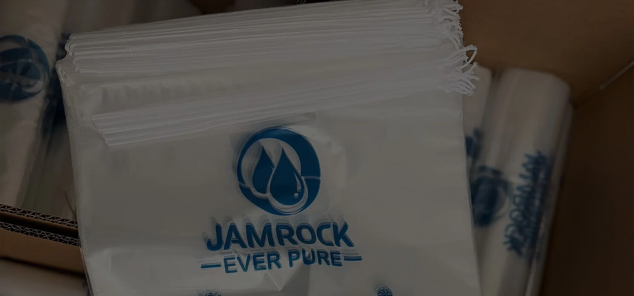 Ice Bags Wholesale and Retail