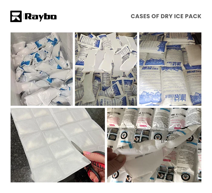 Raybo-cases-about-dry-ice-pack