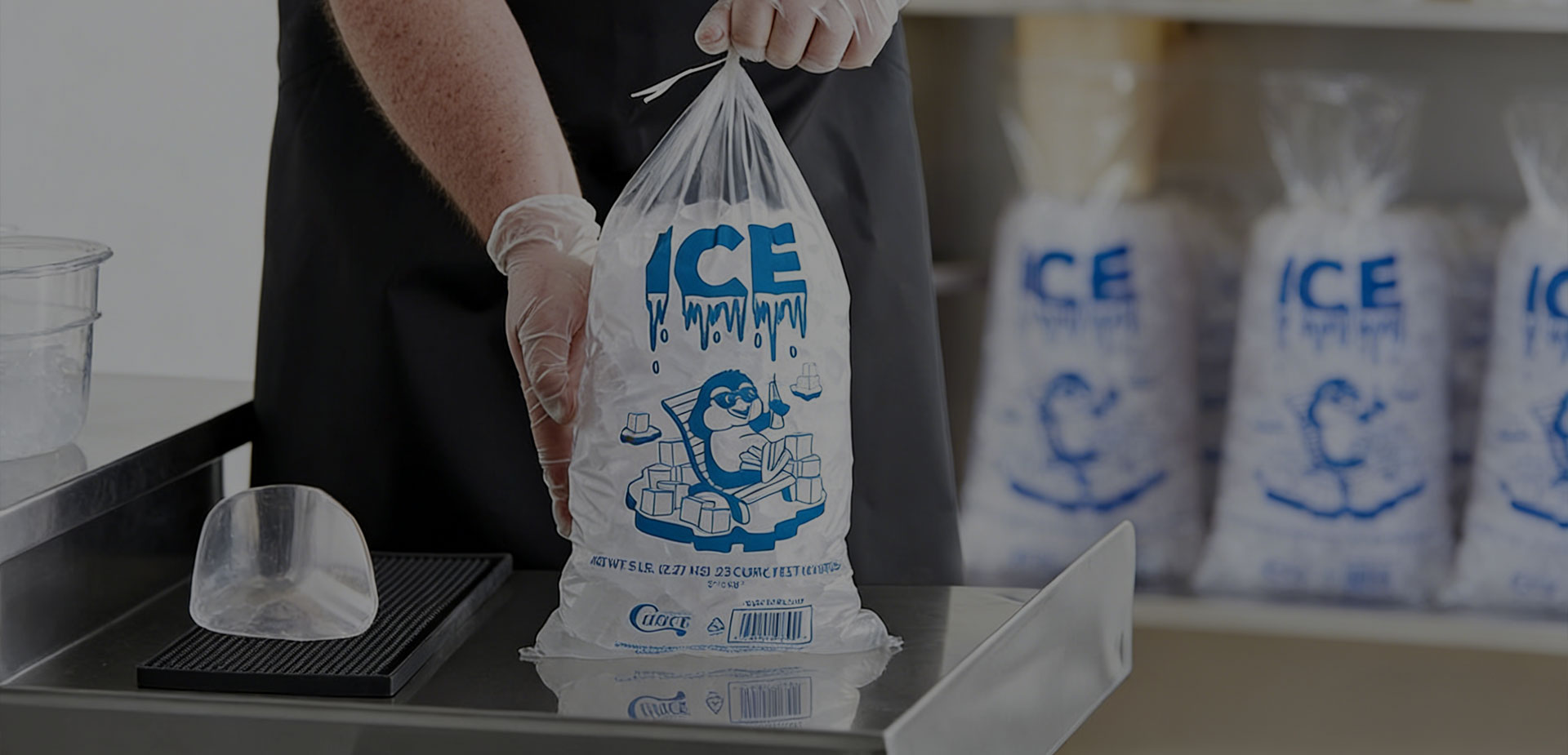 Ice Packaging Solution