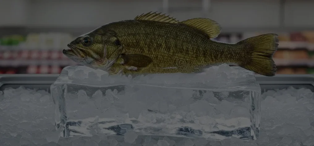 Supermarket Ice cube