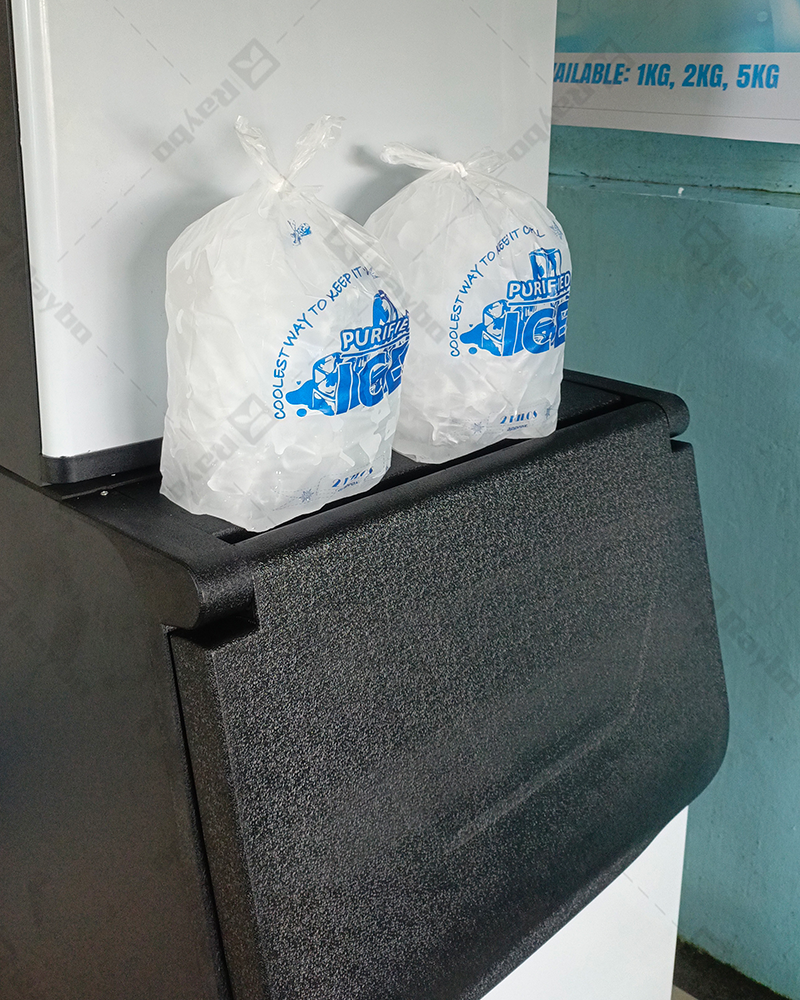 300kg/24H Ice Cube Solution in the Philippines