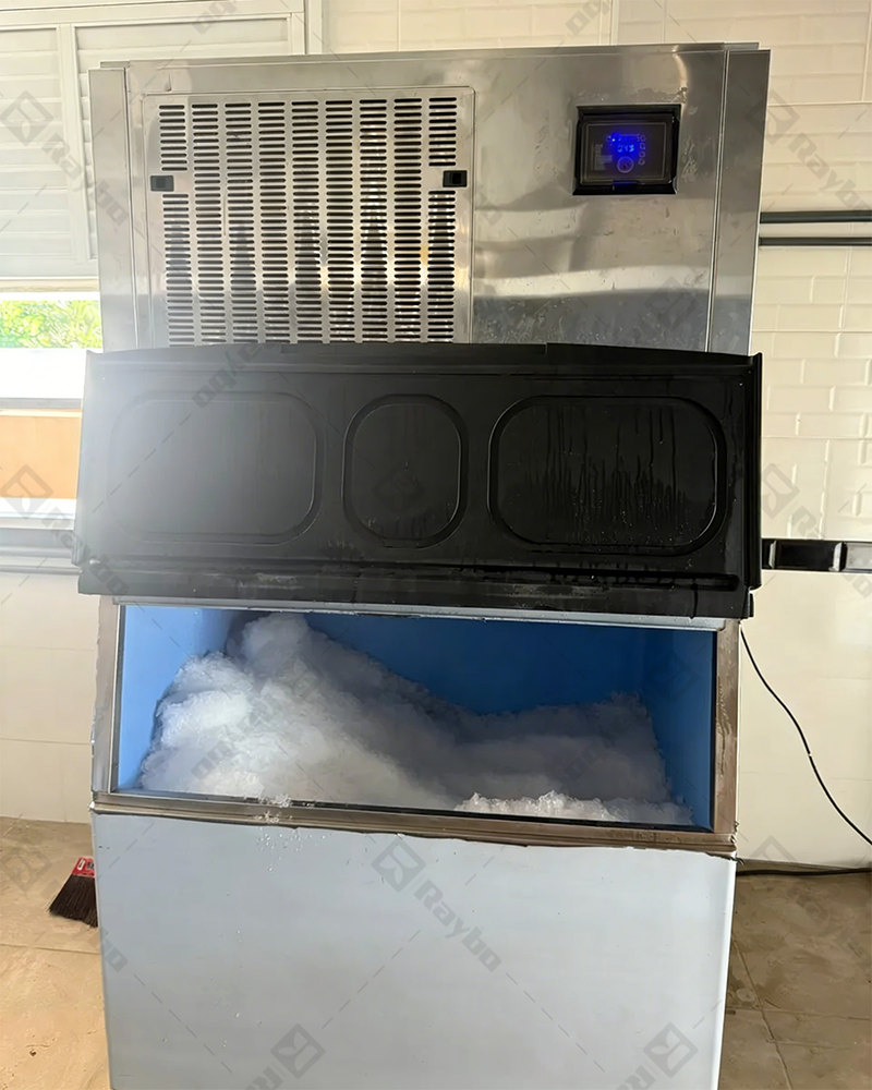 600kg/24H Snowflake Ice Machine in Senegal