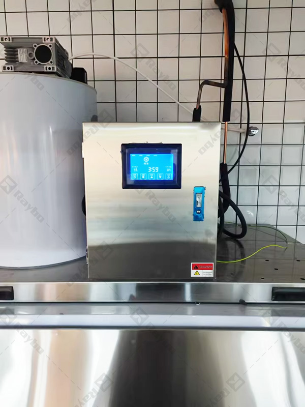 Cases of Raybo Ice Flake Making Machine