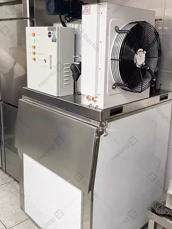 Cases of Raybo Ice Machine Flake Ice