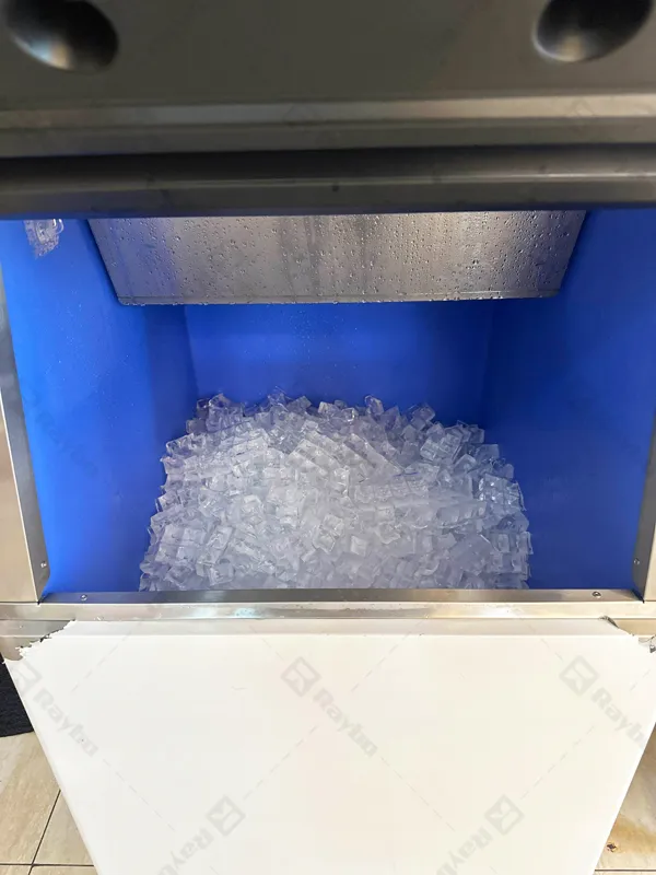 Raybo 500kg Ice Cube Maker Machine in Malaysia in 2026