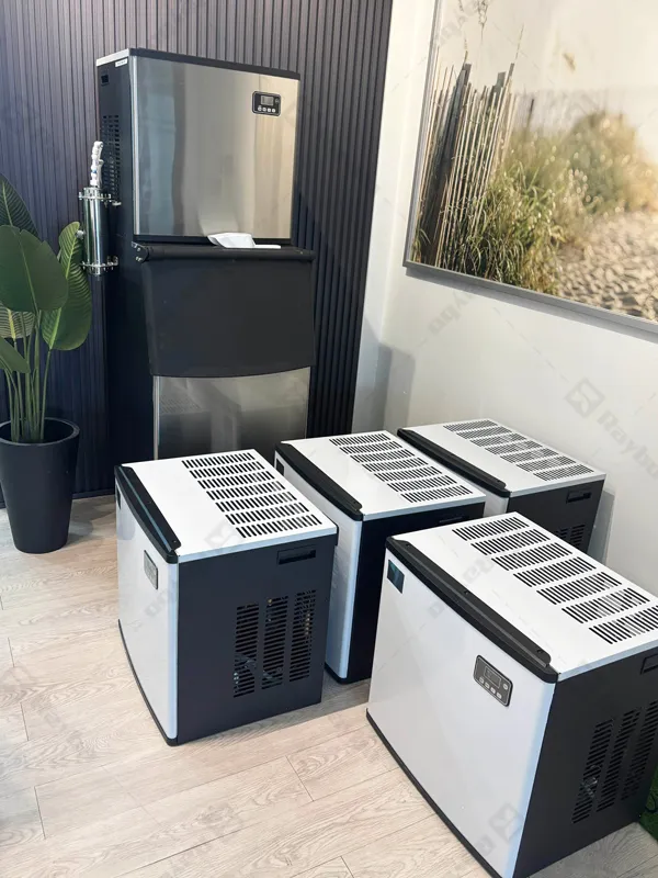 Raybo 500kg Ice Cube Maker Machine in Malaysia