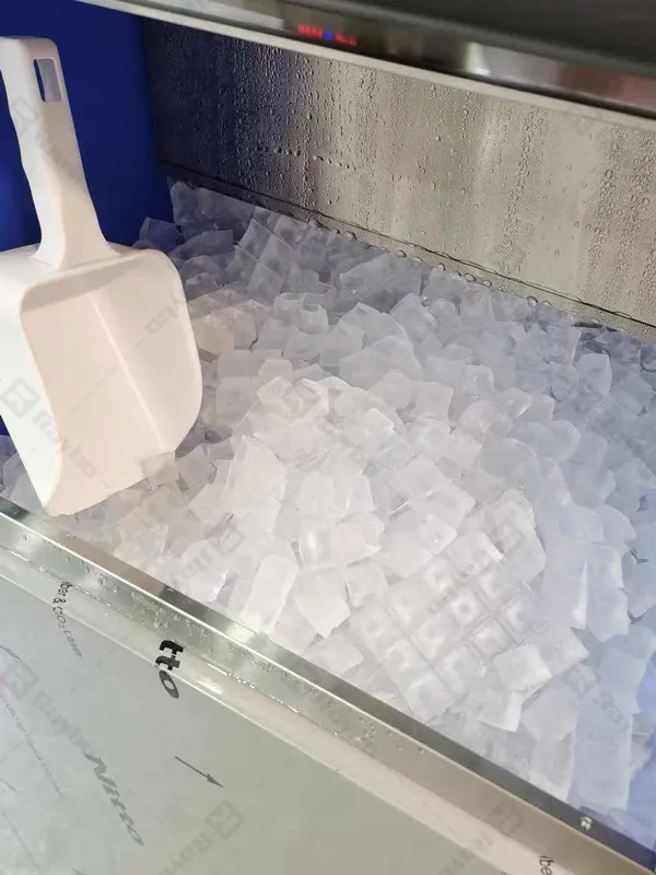 Raybo 500kg Ice Cube Maker Machine in Mexico