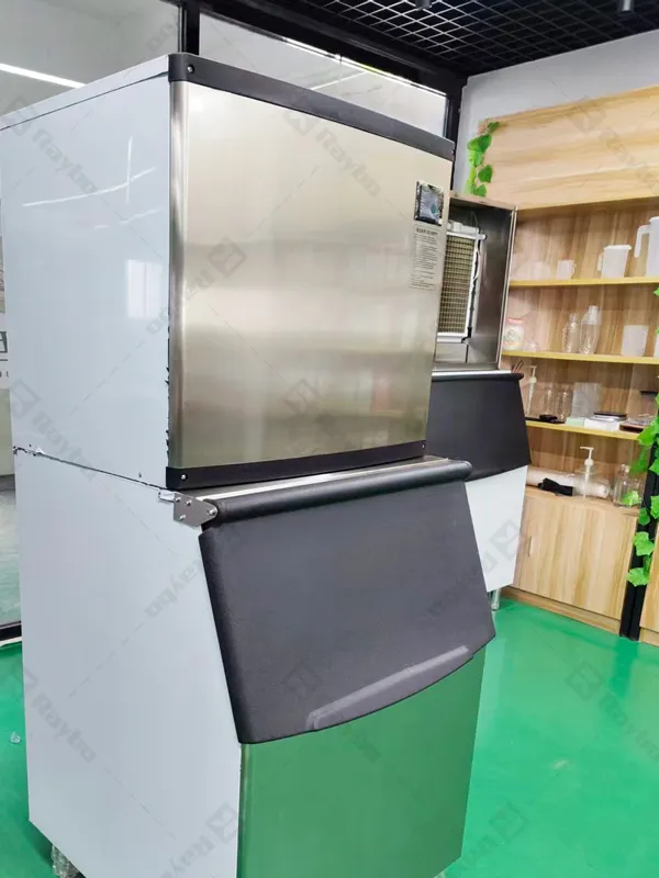 Raybo 500kg Ice Cube Making Machine in Mexico