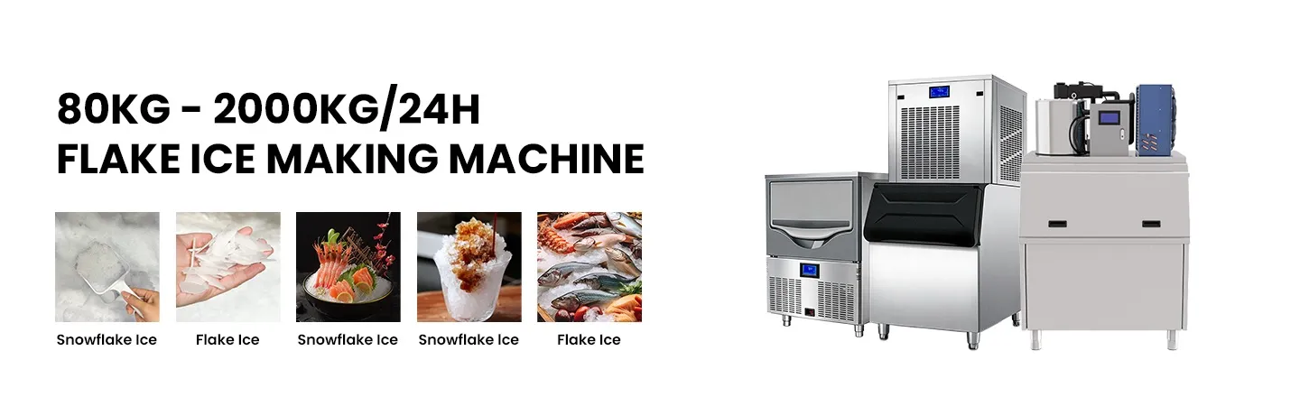 Raybo Flake Ice Machine For Sale