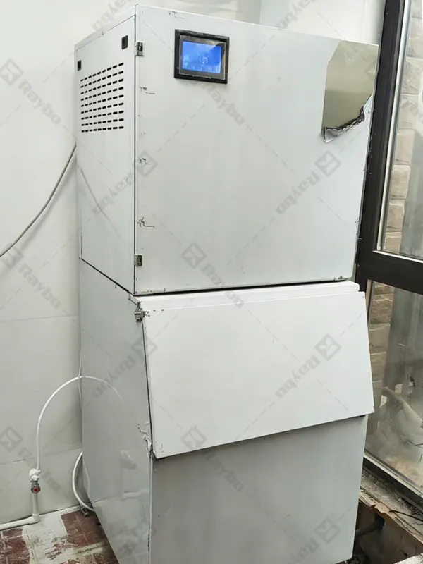 Raybo Flake Ice Maker Machine in Europe