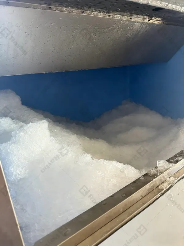 Raybo Flake Ice Maker Machine in Italy
