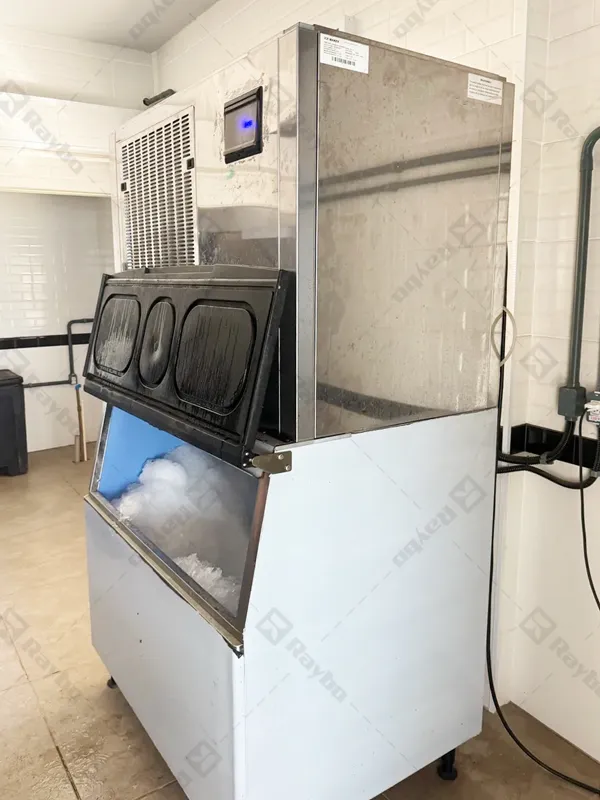 Raybo Flake Ice Maker Machine in Mexico