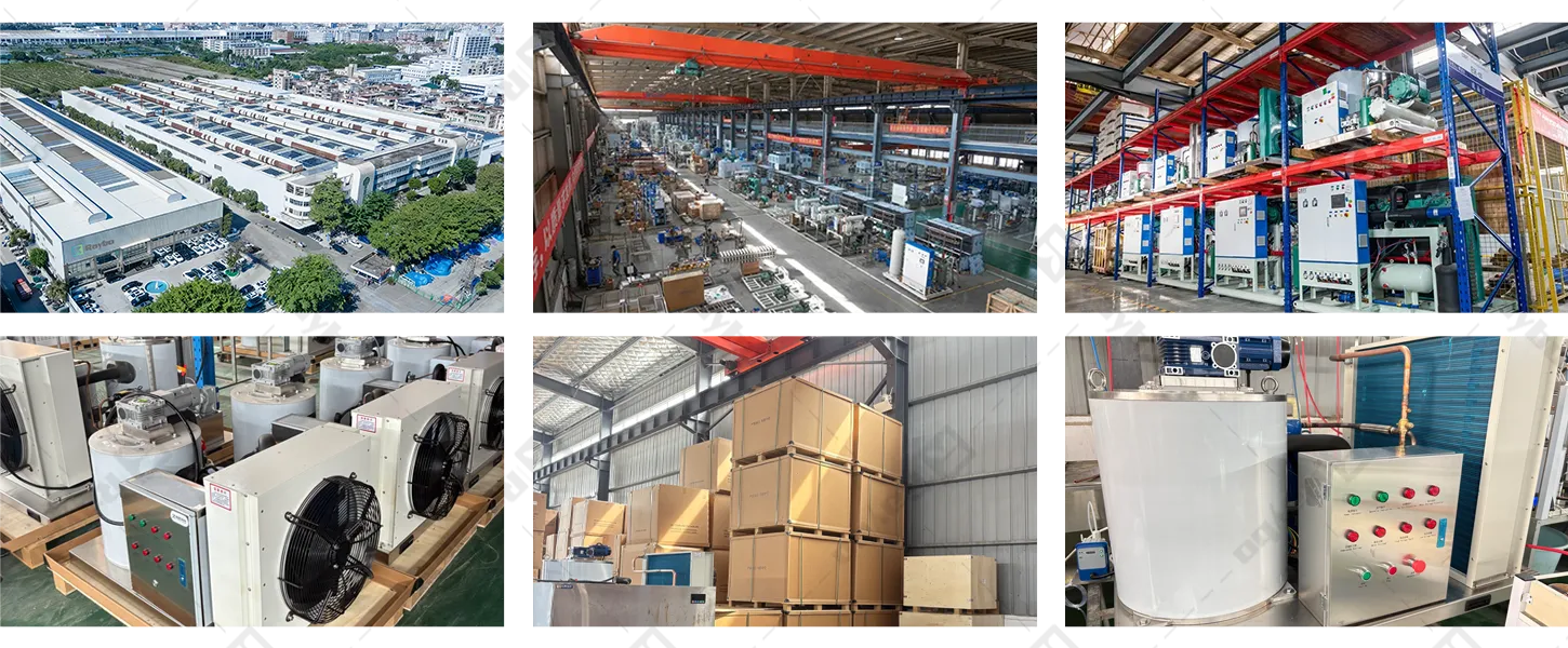 Raybo Snow Flake Ice Making Machine